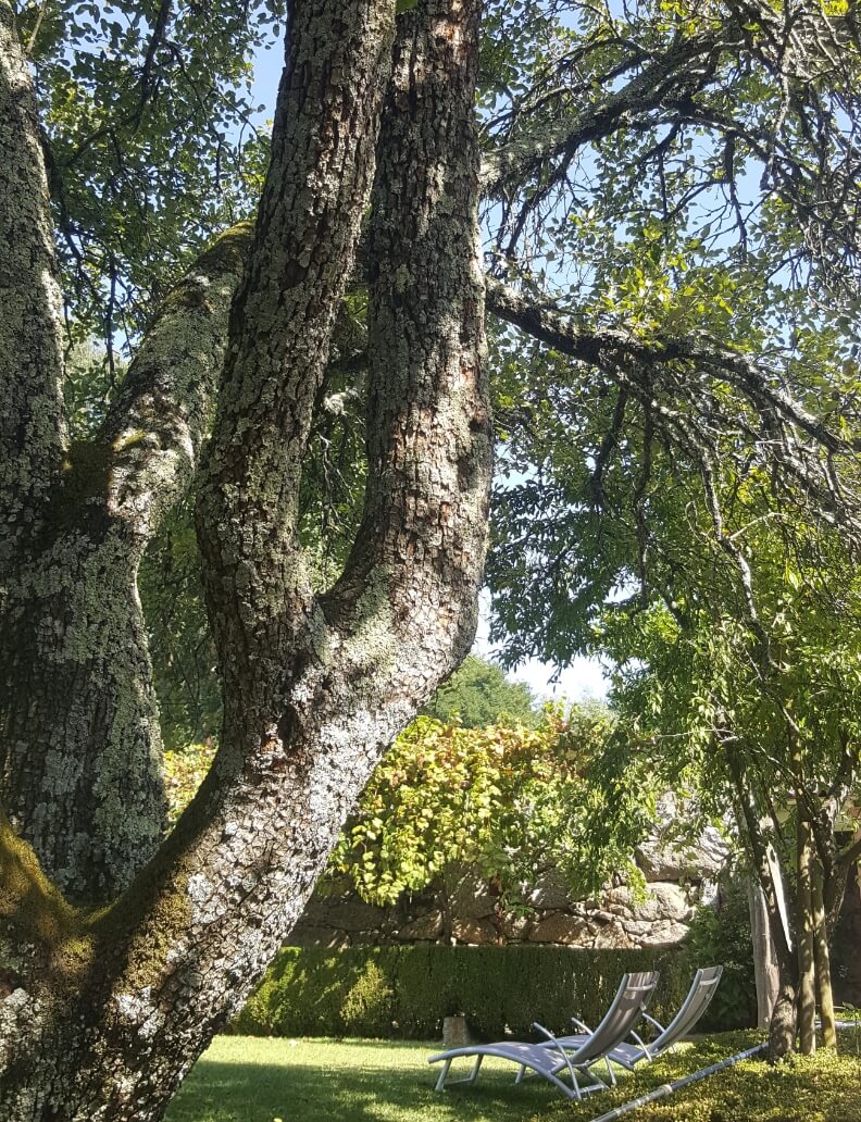 Jardins da Quinta de Margaride